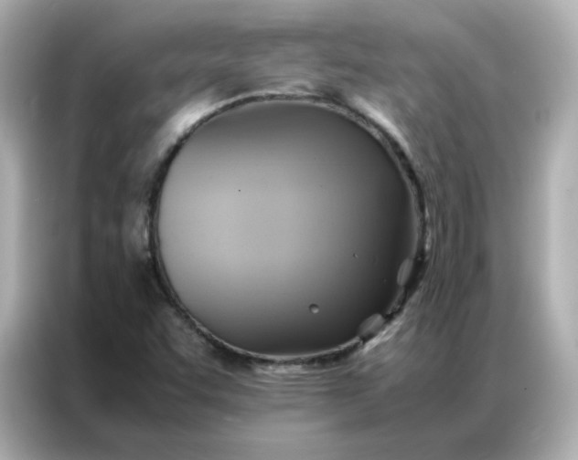 X0000086941455200704301127