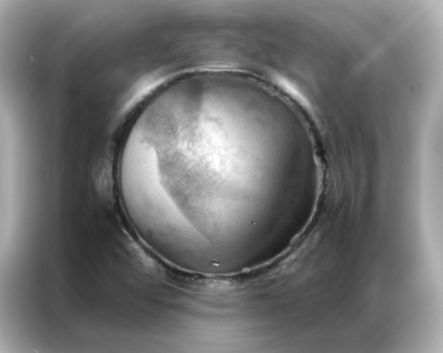 X0000086941456200704301127