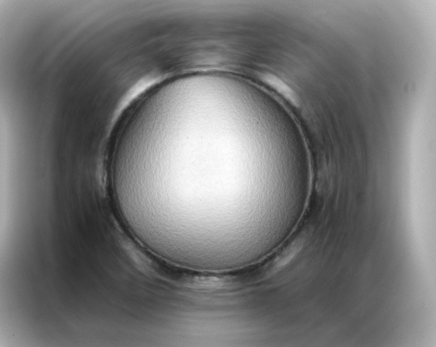 X0000086941458200704301127