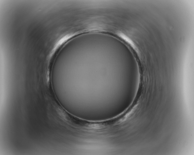 X0000086941461200704301127