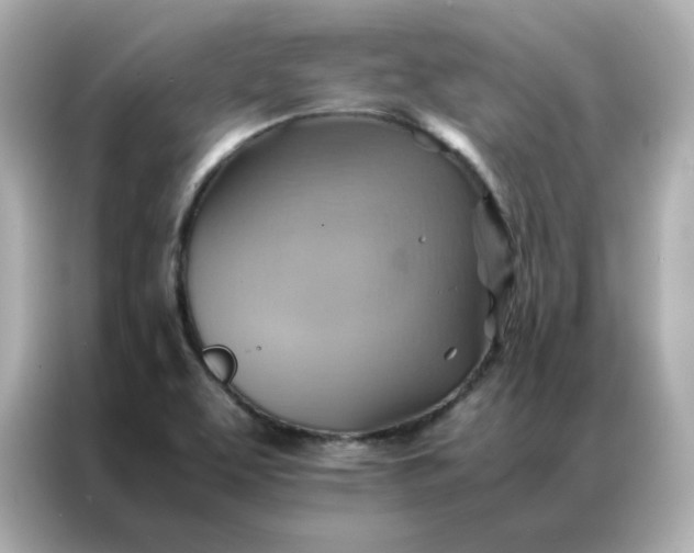 X0000086941463200704301127