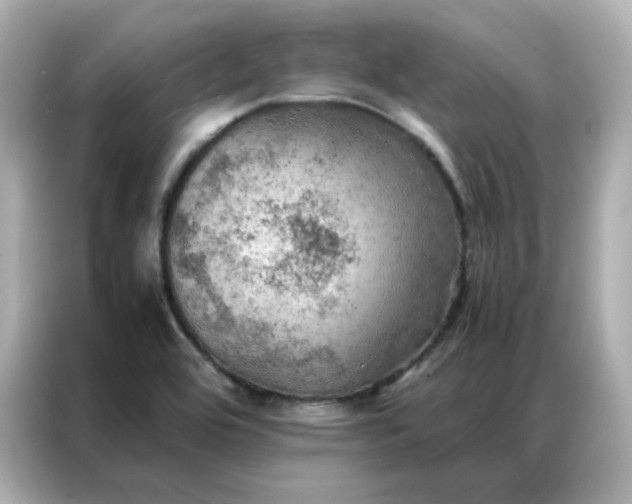 X0000086941464200704301127