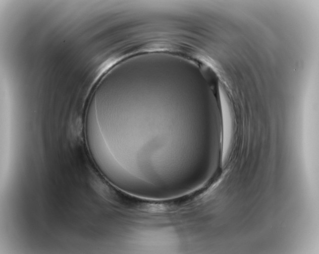 X0000086941465200704301127