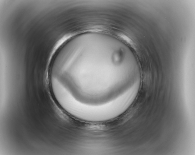 X0000086941466200704301127