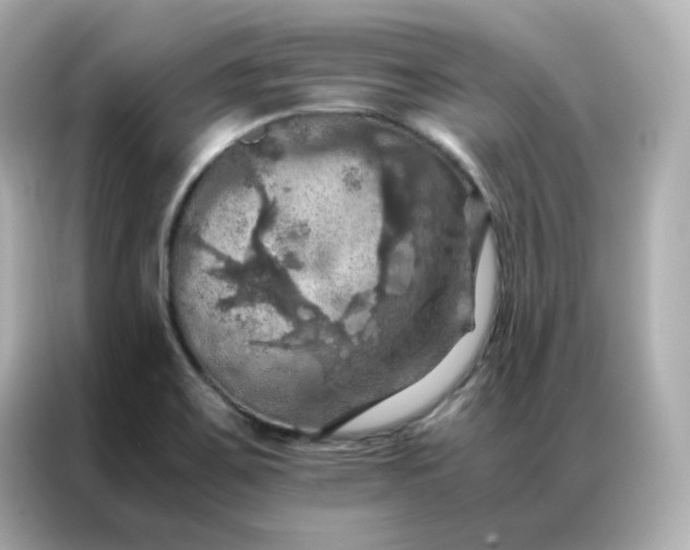 X0000086941467200704301127