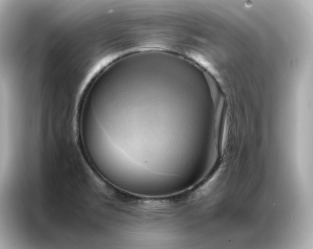 X0000086941469200704301127