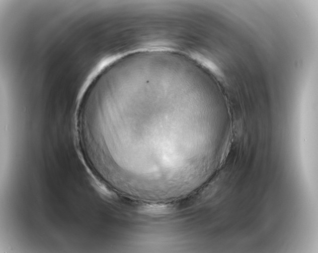 X0000086941470200704301127