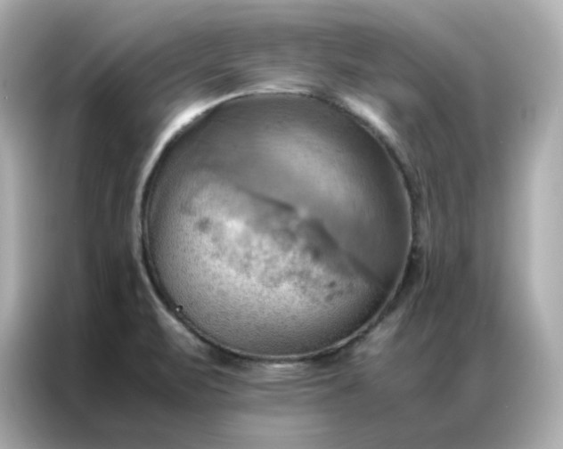 X0000086941471200704301127