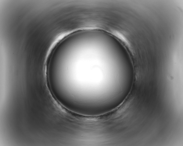 X0000086941472200704301127