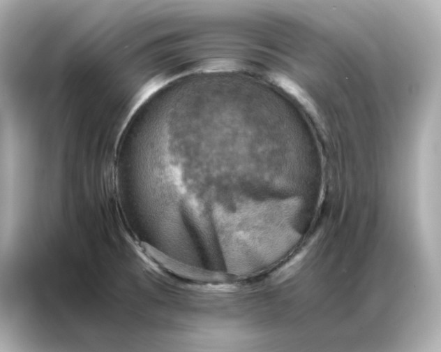 X0000086941473200704301127