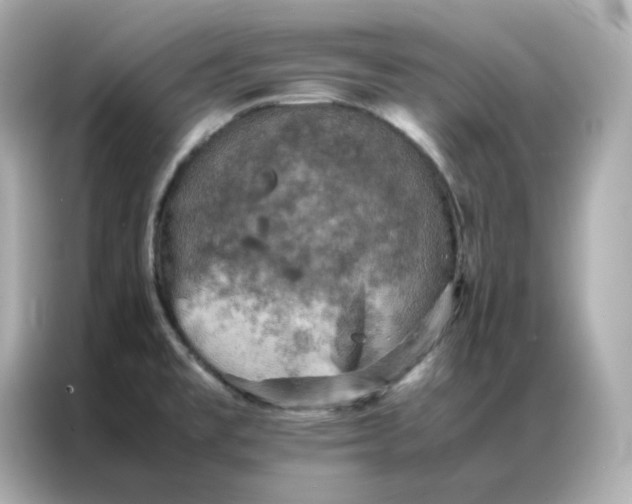 X0000086941477200704301127