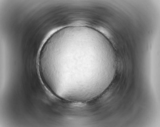 X0000086941478200704301127