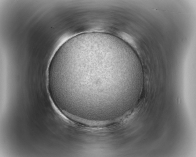 X0000086941479200704301127