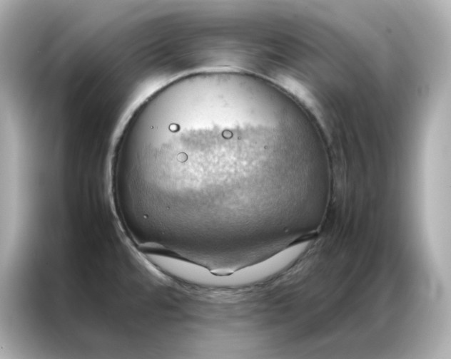 X0000086941480200704301127