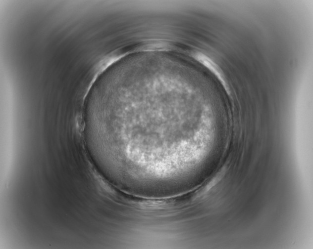 X0000086941481200704301127