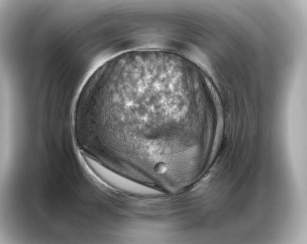 X0000086941483200704301127