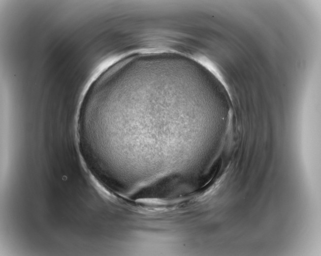 X0000086941485200704301127