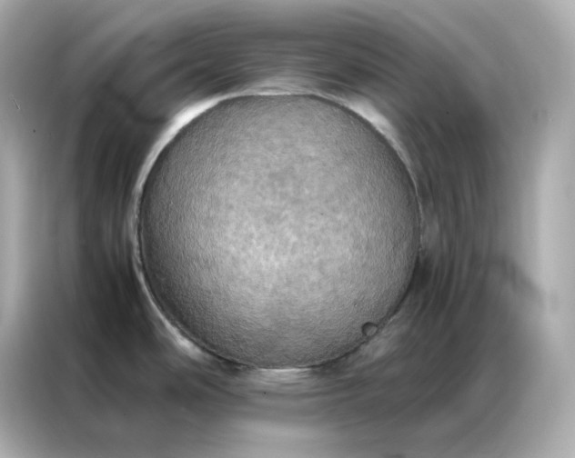 X0000086941486200704301127