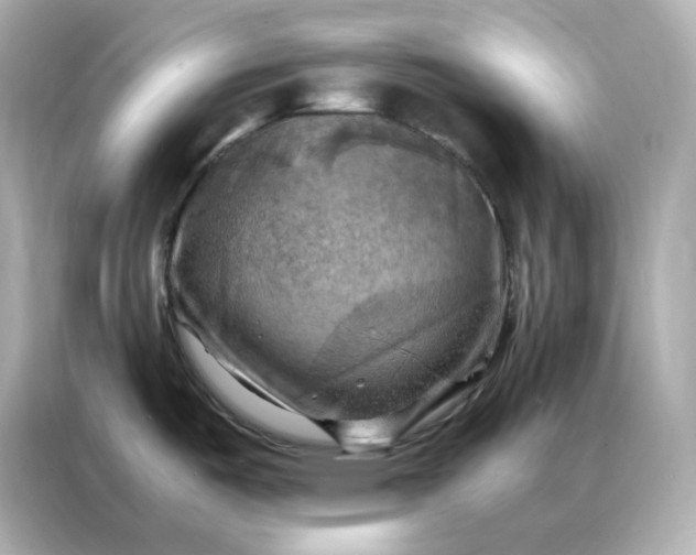 X0000086941487200704301127