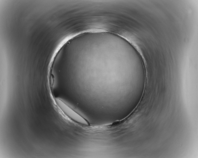 X0000086941488200704301127
