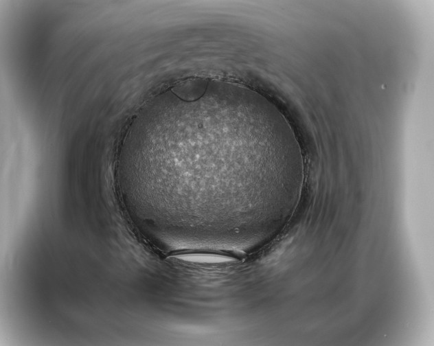 X0000086941489200704301126