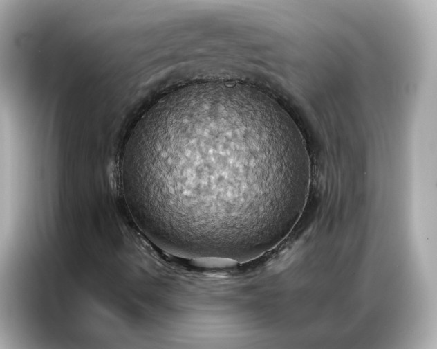 X0000086941490200704301126