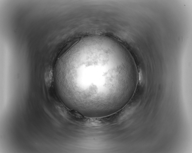 X0000086941492200704301126