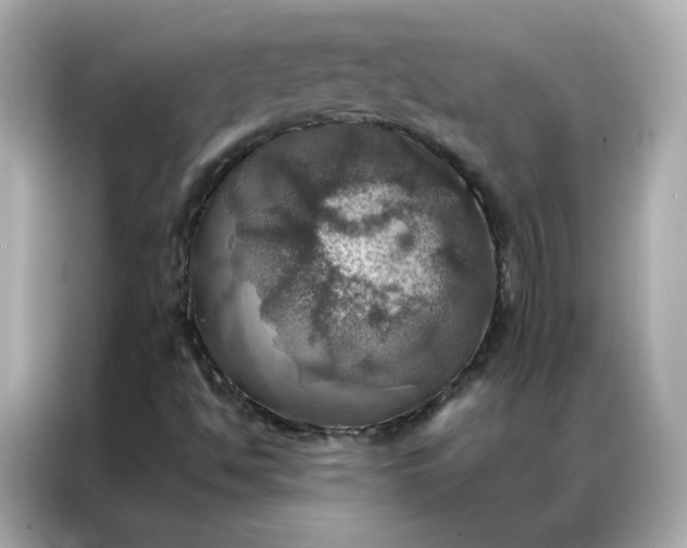 X0000086941494200704301126