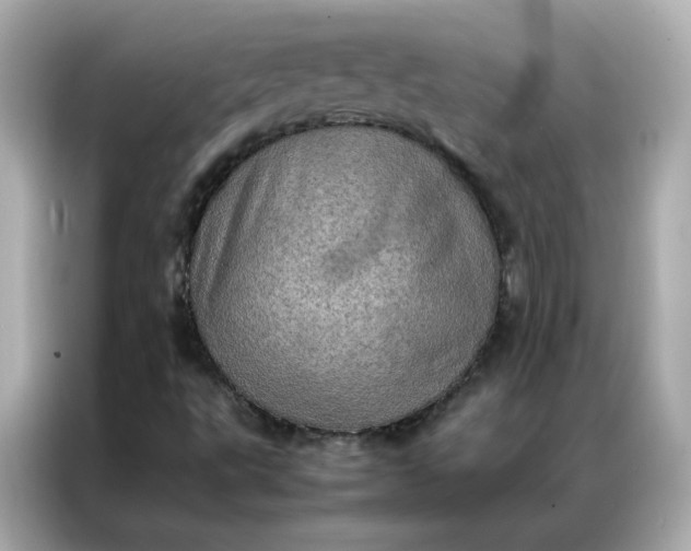 X0000086941495200704301126