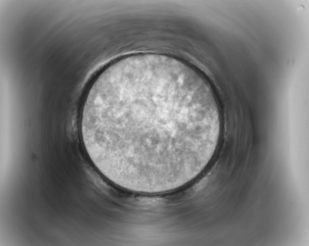 X0000086941498200704301126