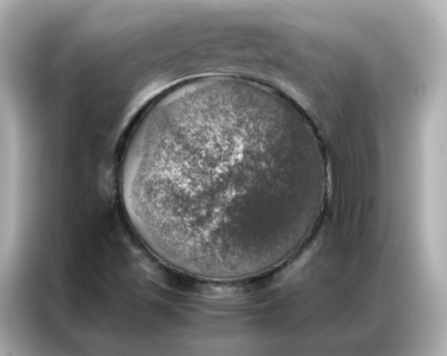 X0000086941501200704301127