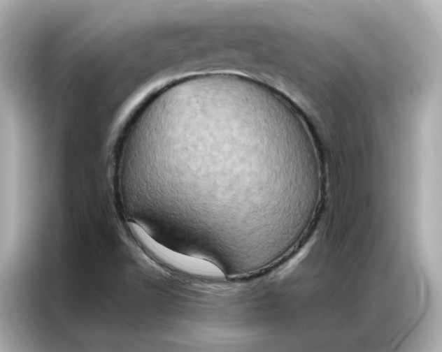 X0000086941502200704301127