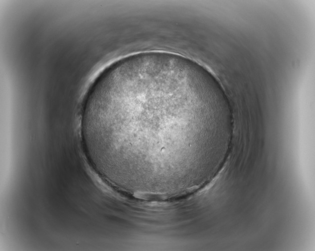 X0000086941503200704301127