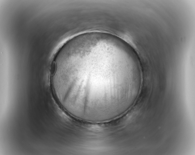 X0000086941504200704301127