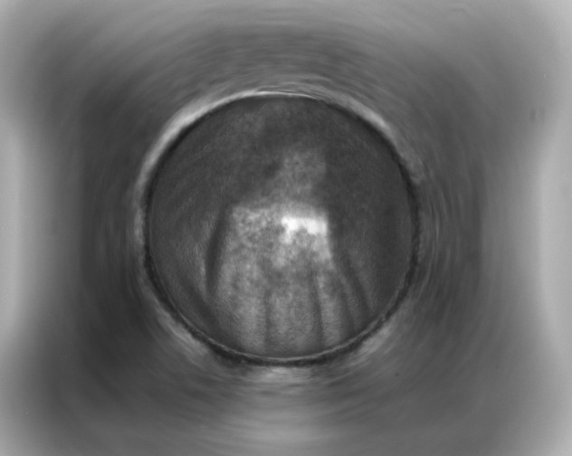 X0000086941506200704301127