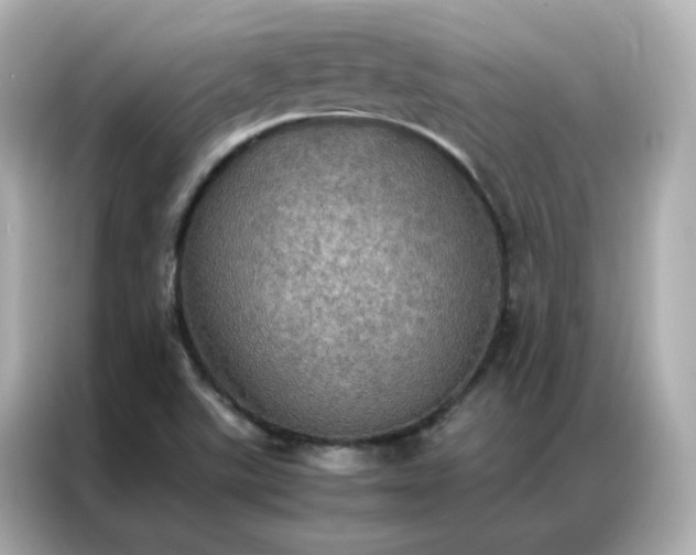 X0000086941507200704301127