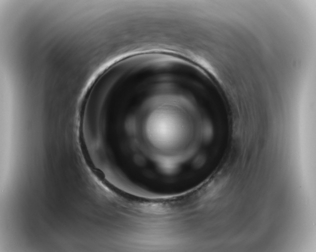 X0000086941508200704301127