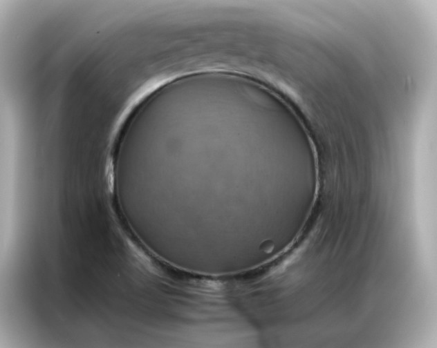 X0000086941509200704301127