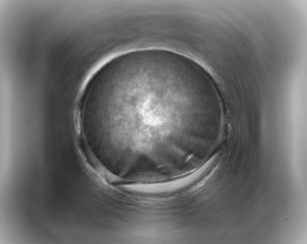 X0000086941510200704301127