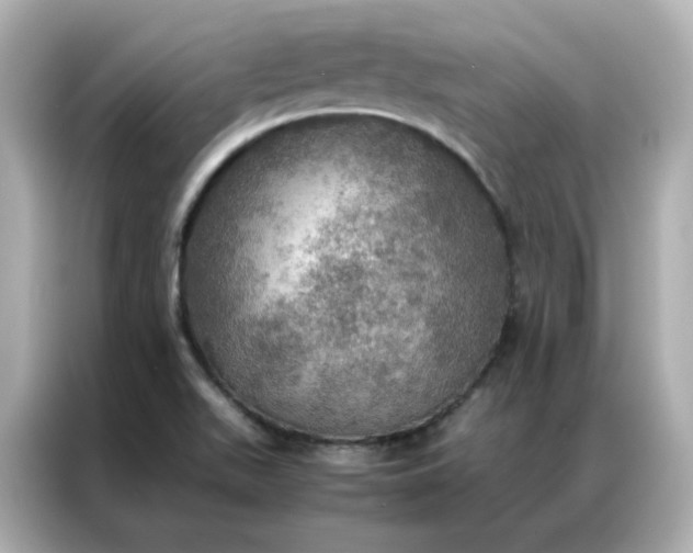 X0000086941511200704301127