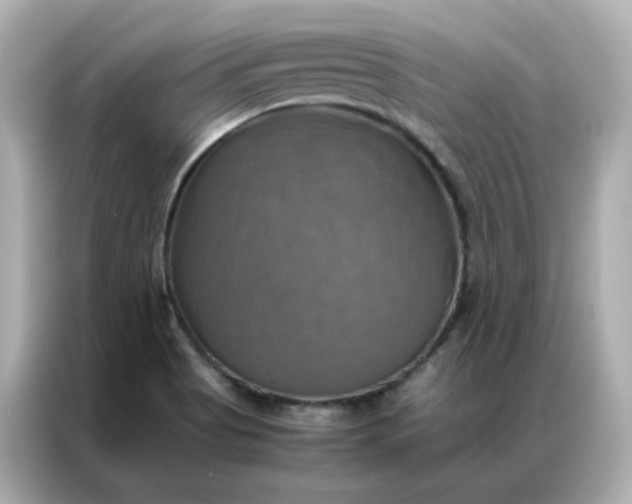 X0000086941513200704301127