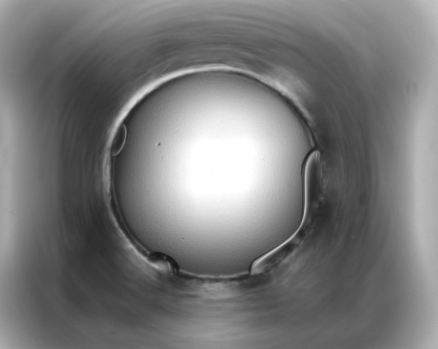 X0000086941516200704301127