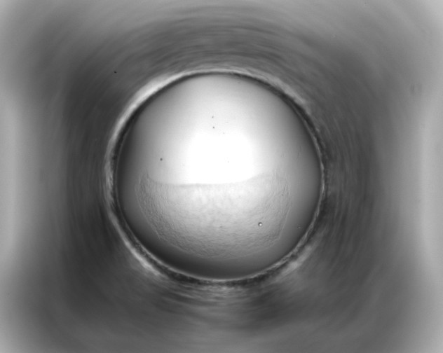 X0000086941517200704301127