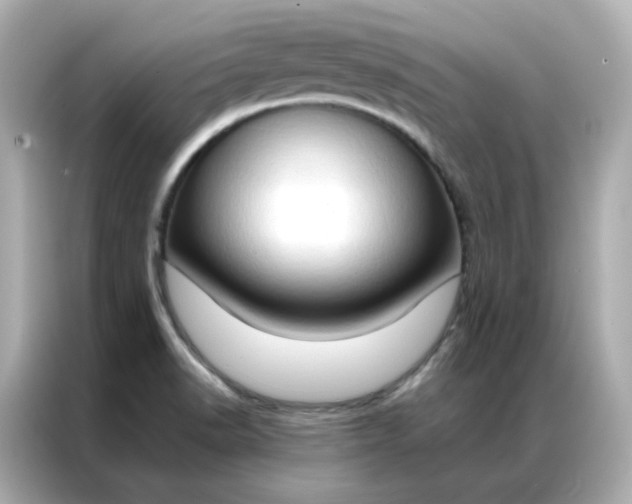 X0000086941518200704301127