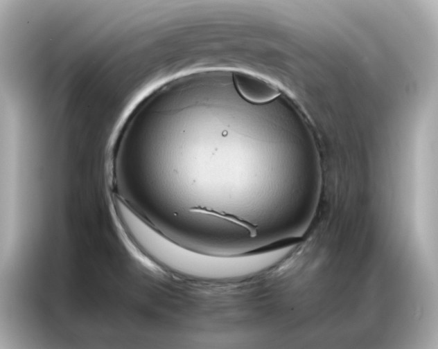 X0000086941519200704301127
