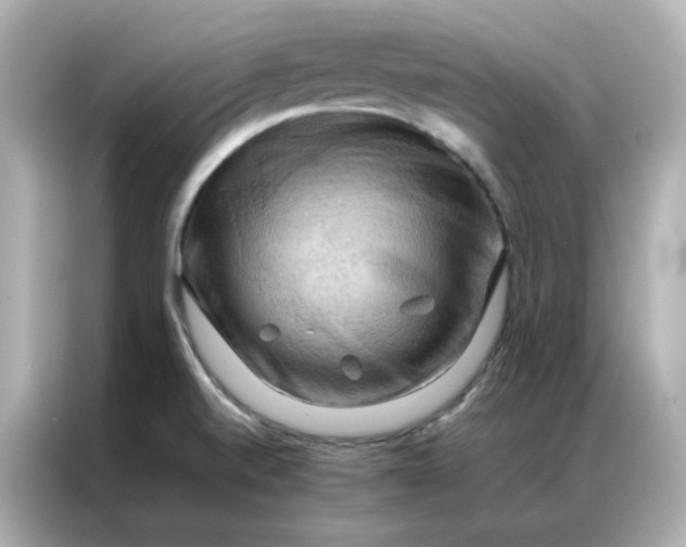 X0000086941520200704301127