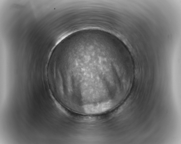 X0000086941521200704301127