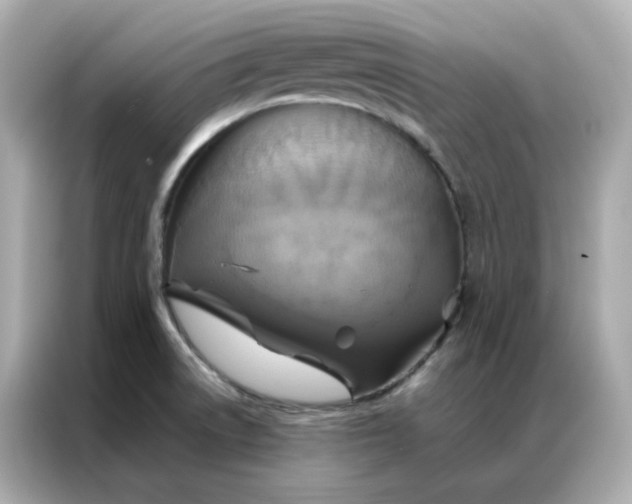 X0000086941522200704301127