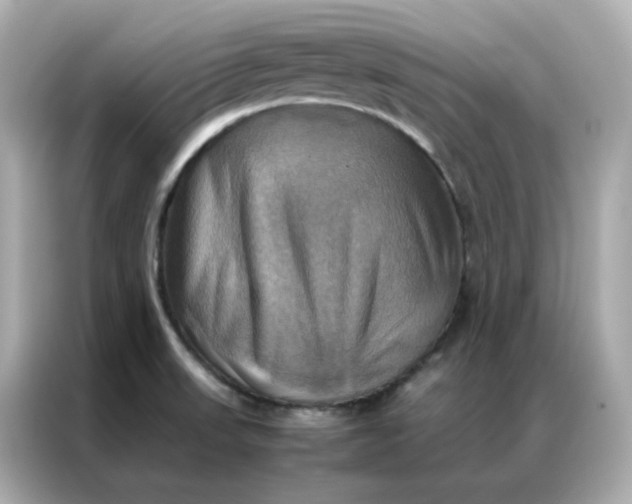 X0000086941523200704301127