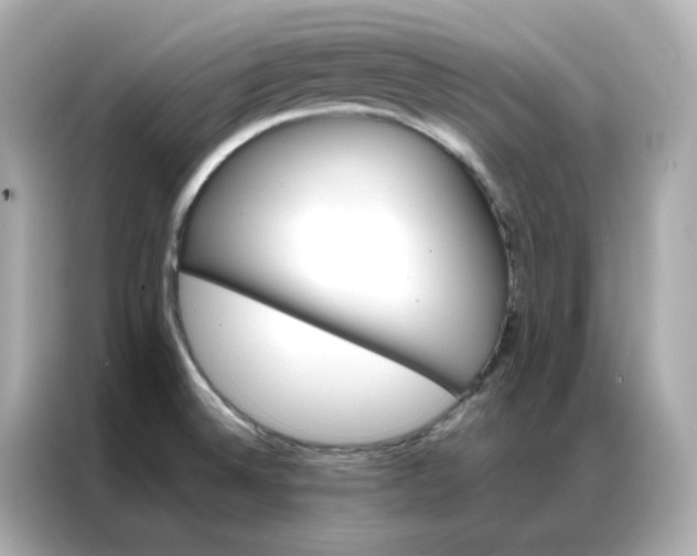X0000086941524200704301127